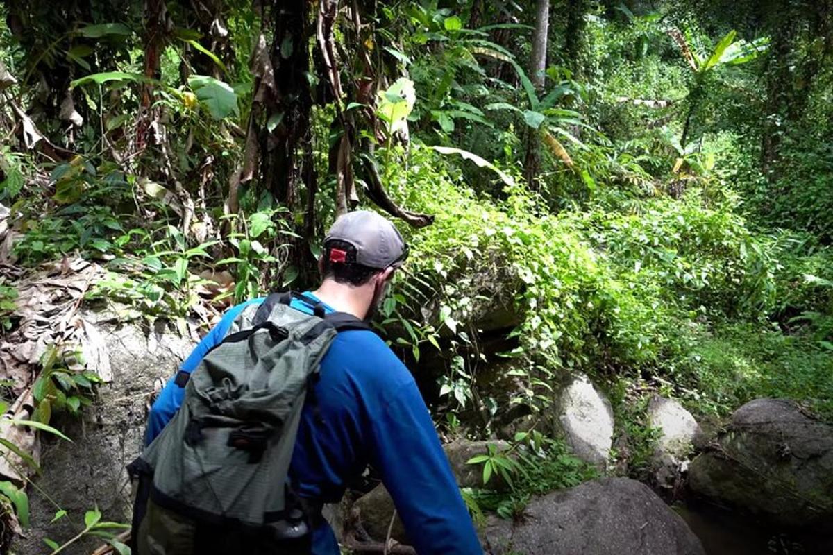 a man walking down a trail in the jungle
