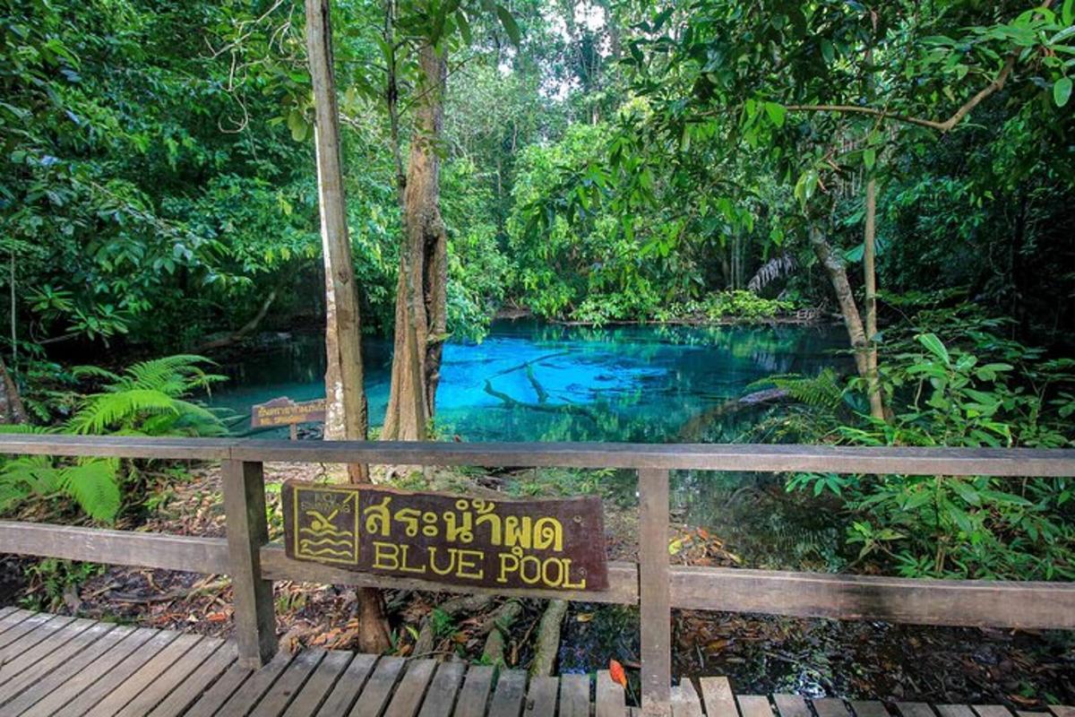 un cartello davanti a una piscina blu in una foresta