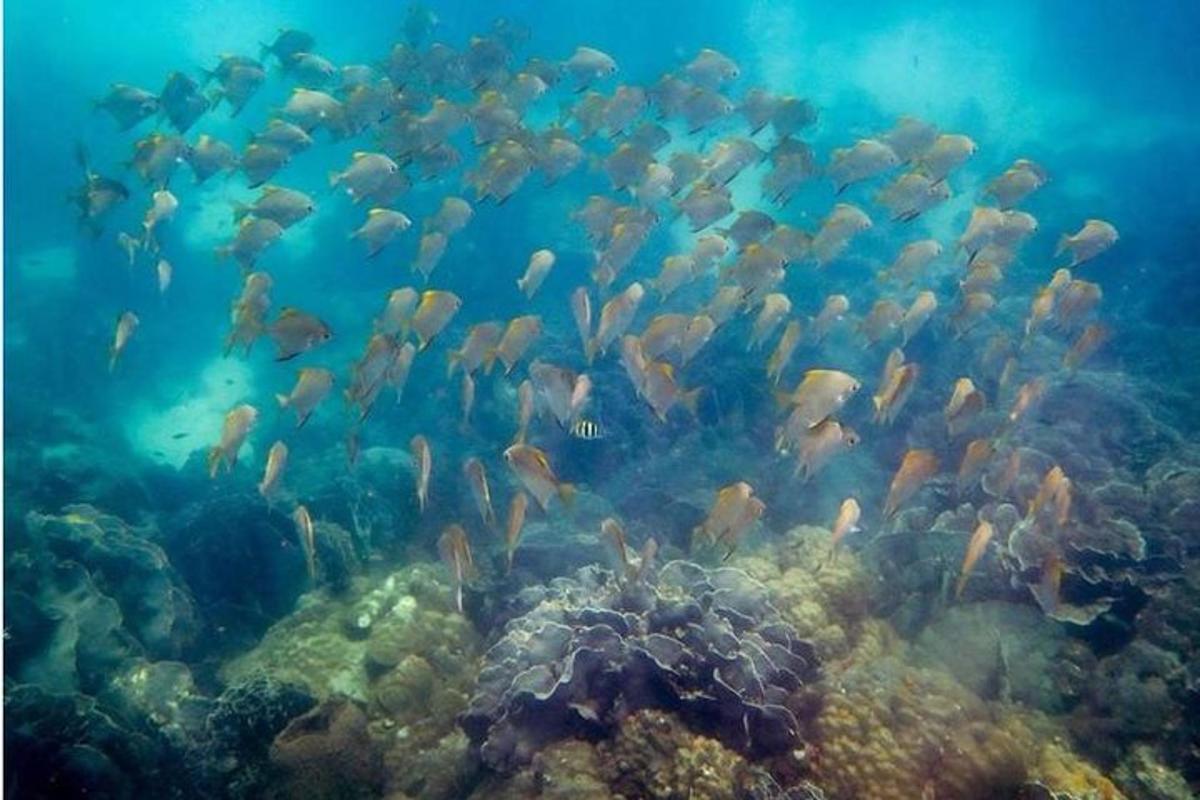 Lankytinos vietos ar pramogos nuotrauka numeris 1