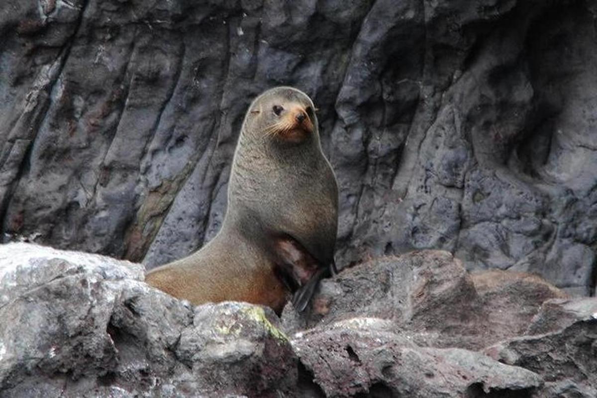 Fotografia da atração 7