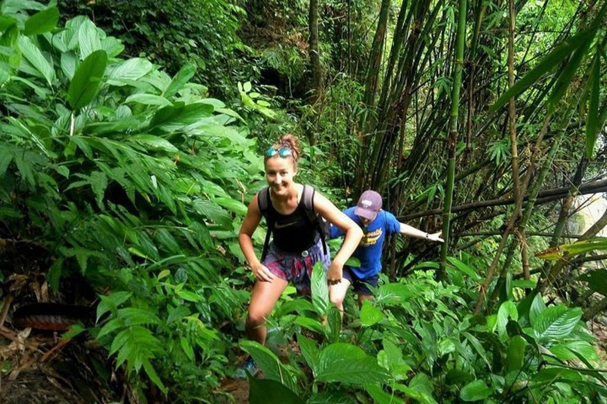 two people walking down a trail in the jungle