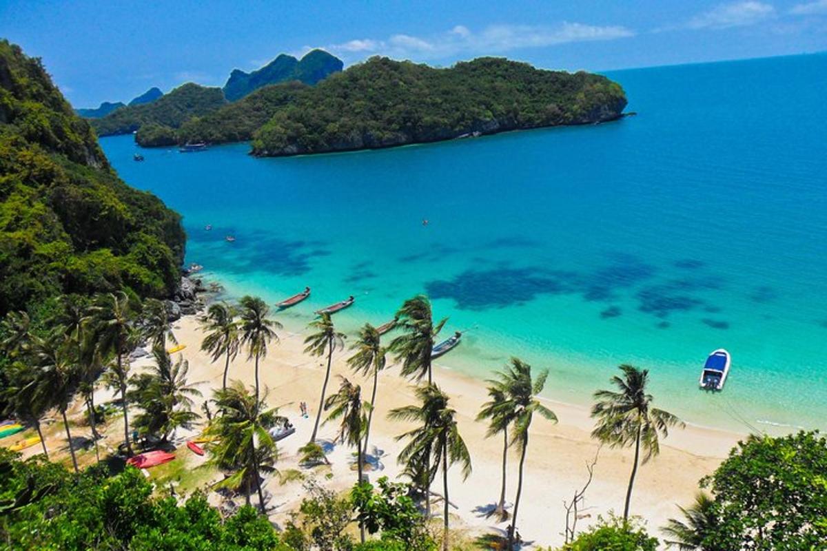 una playa con palmeras y un barco en el agua