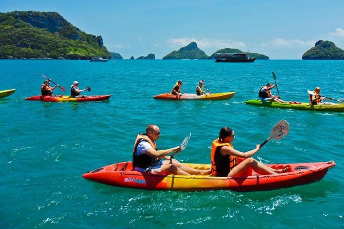 Un grupo de personas en kayaks en el agua.