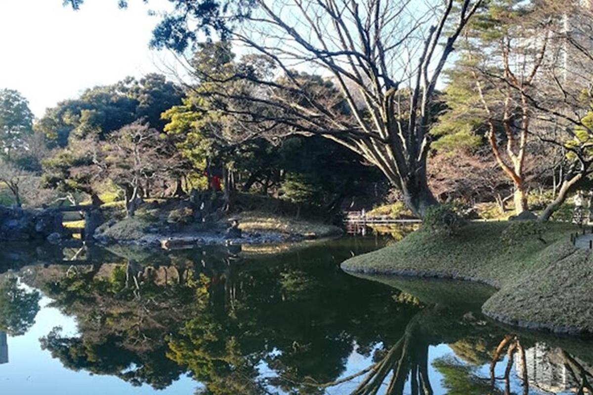 una vista di uno stagno in un parco con alberi