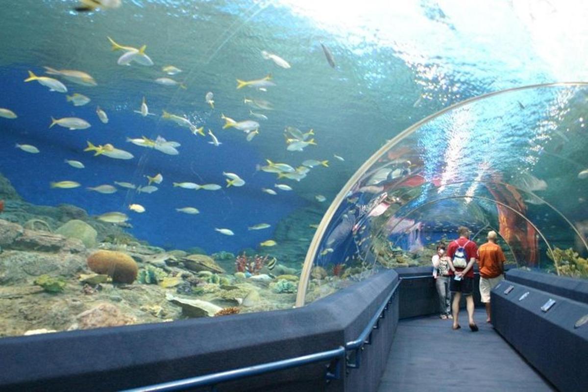 Turistik nokta fotoğrafı 1