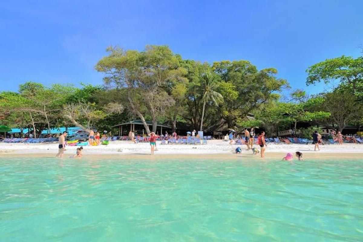 sekumpulan orang di dalam air di pantai
