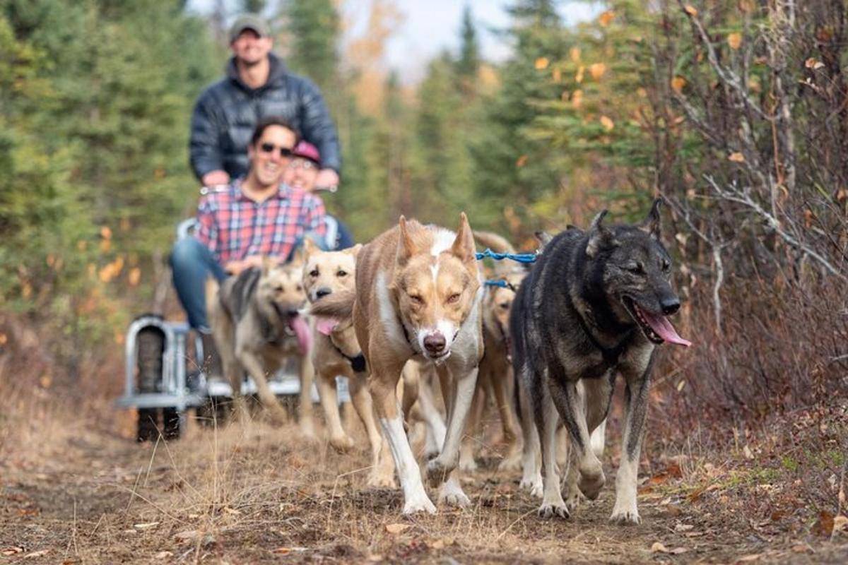 Un grupo de personas viajando en un carro tirado por perros