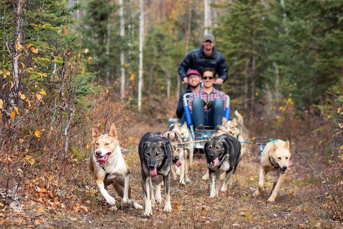 Un hombre y dos niños viajando en un carro tirado por perros