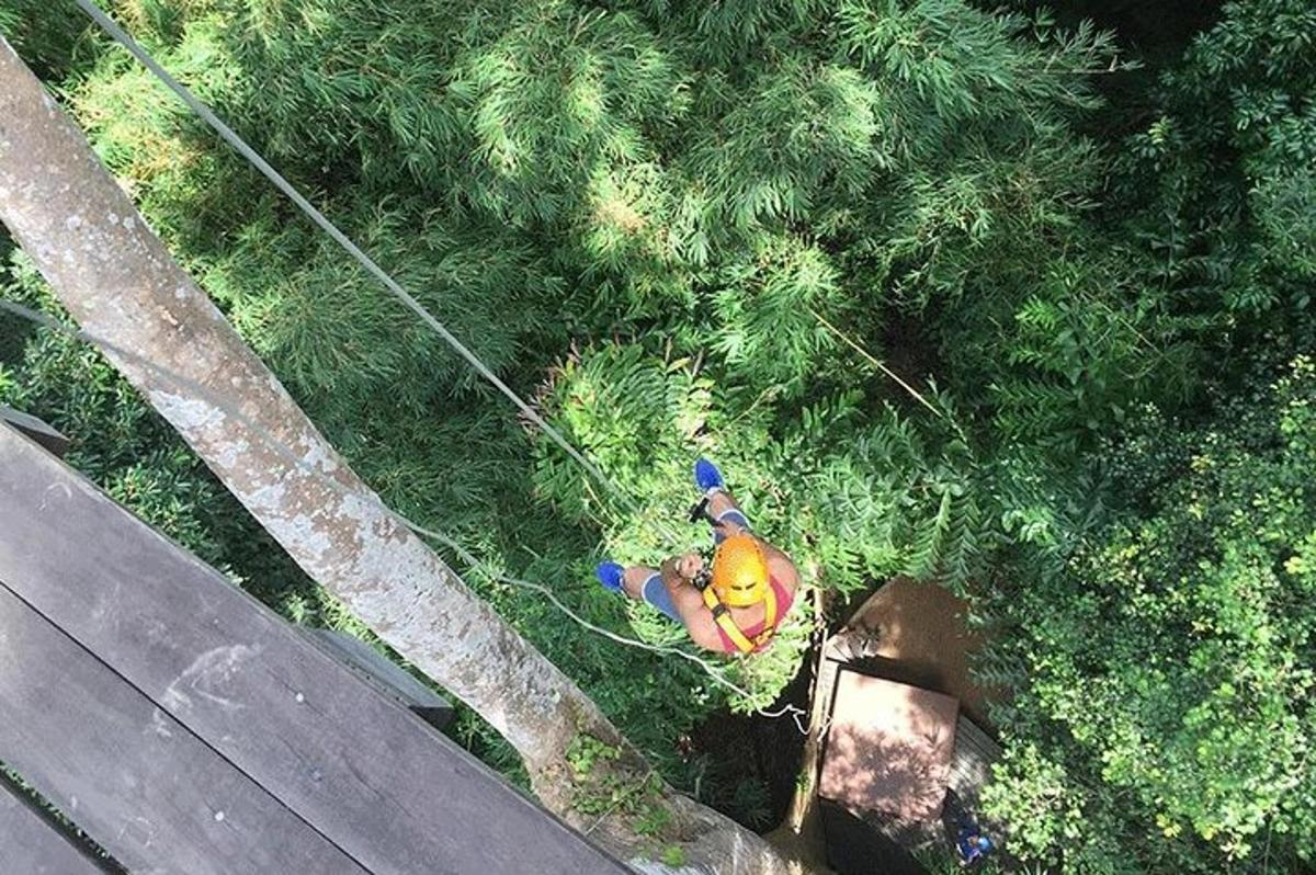 pohled shora na osobu pracující v trávě