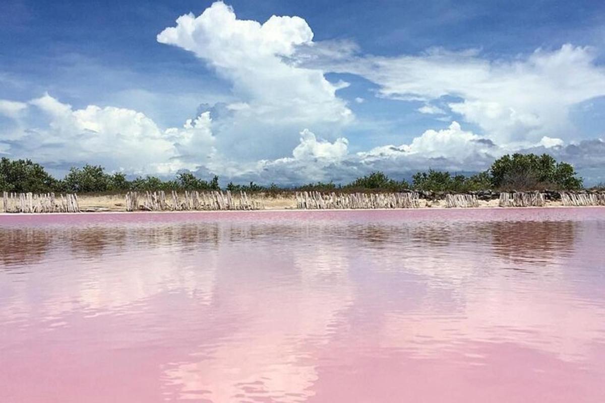 a body of pink water with a fence in the background