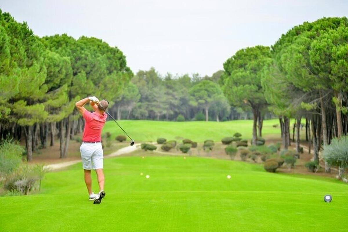 muž švihá golfovou holí na golfovém hřišti