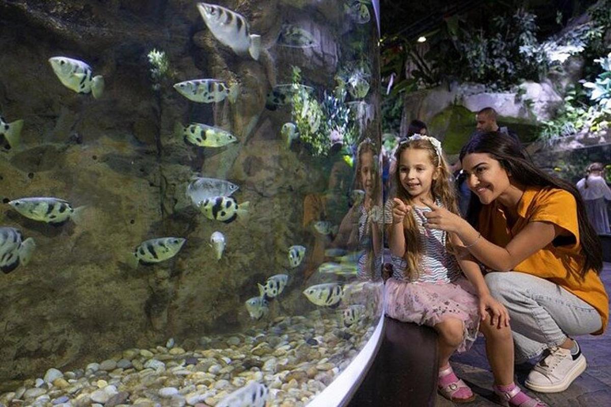 Una mujer y una niña mirando peces en un acuario.