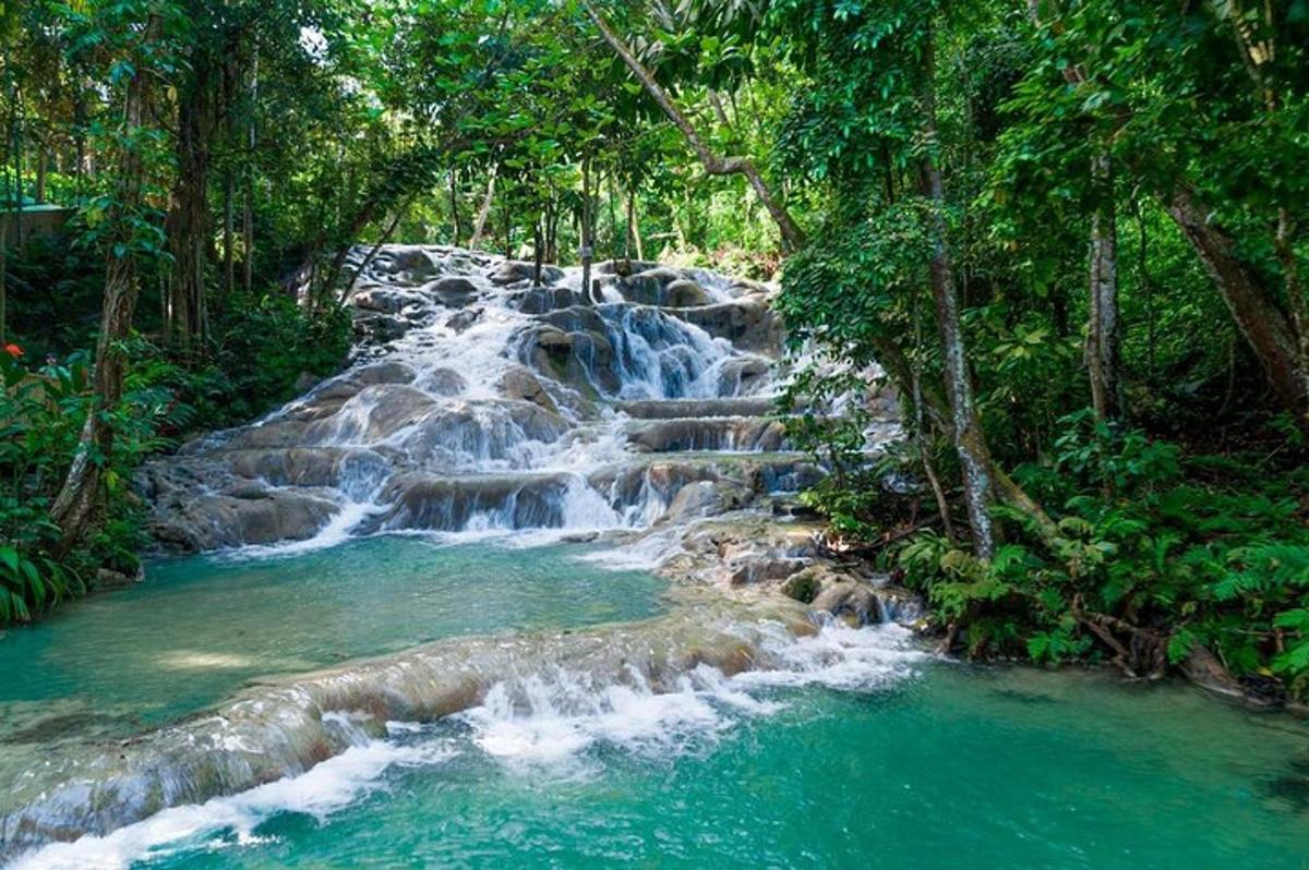 air terjun di tengah sungai dengan pokok
