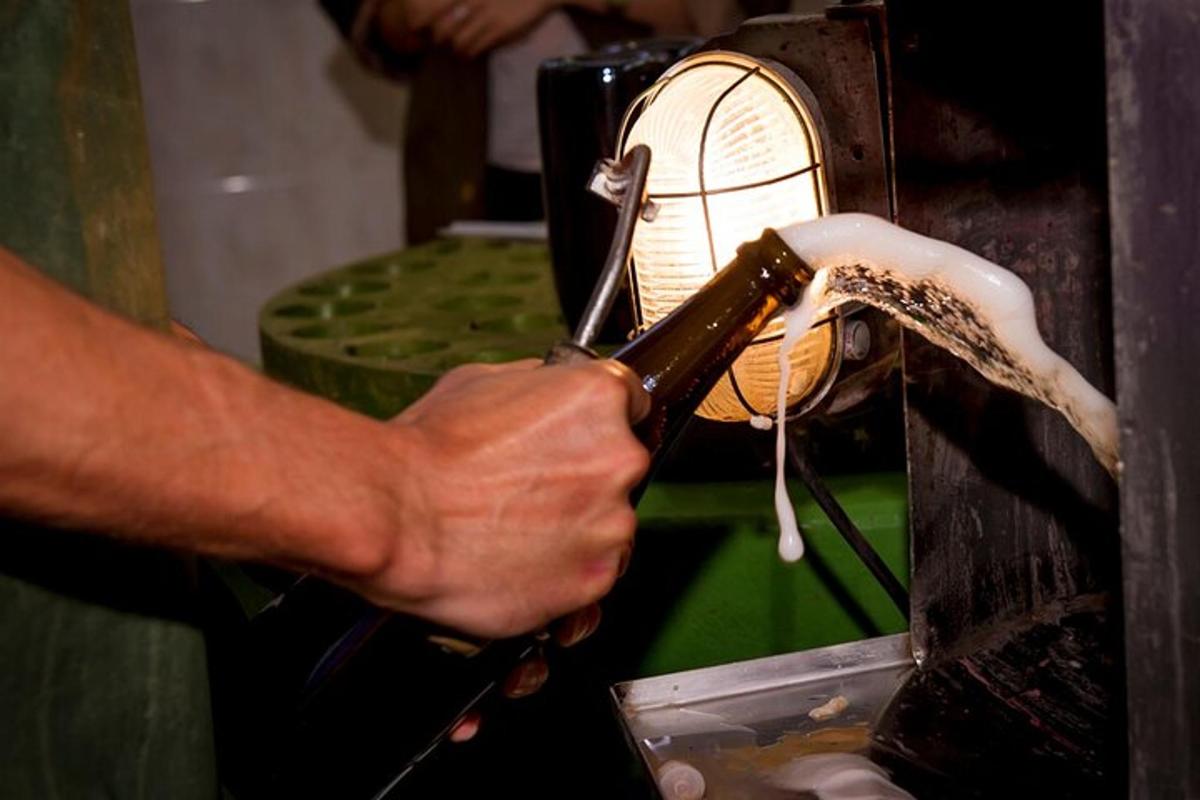 una persona està posant menjar al forn