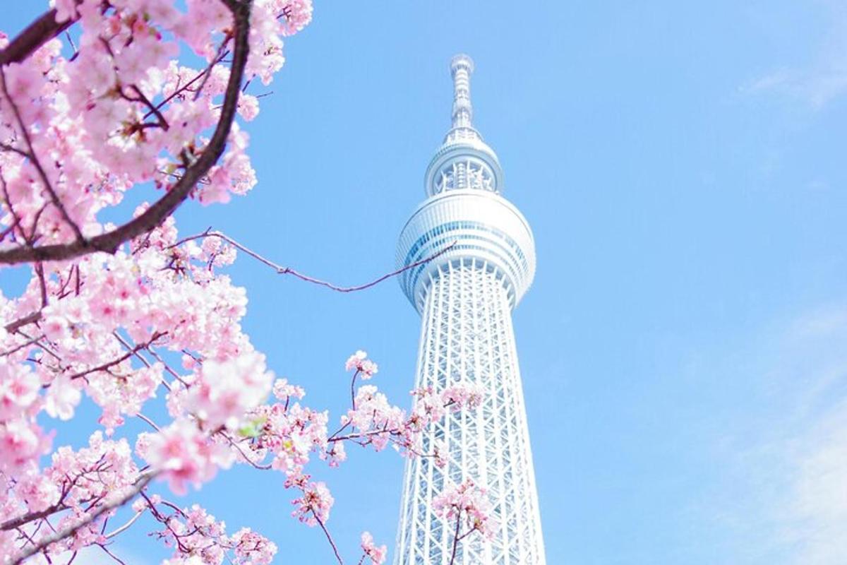 una torre con fiori di ciliegio rosa in primo piano