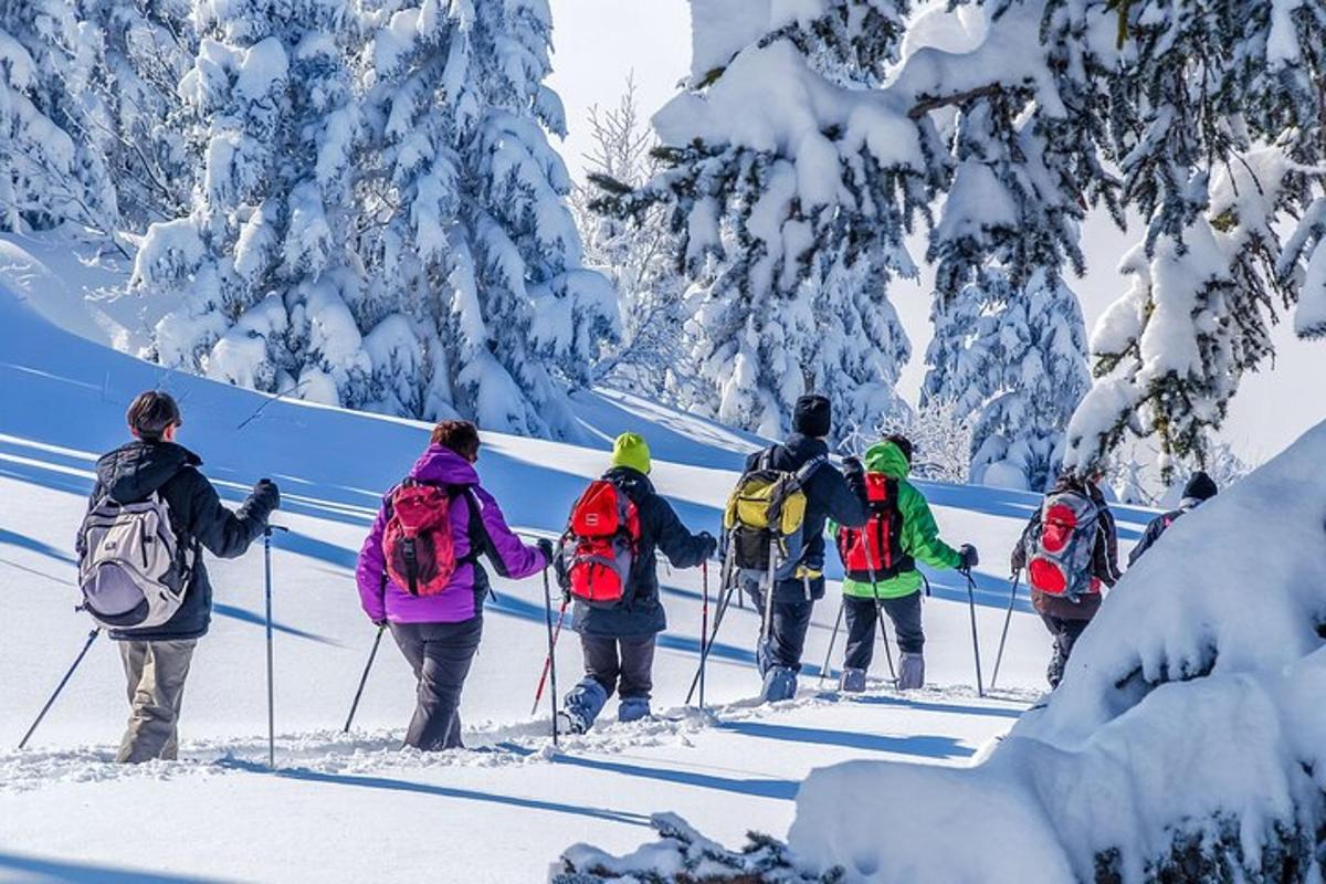 Un grupo de personas con esquís en la nieve.