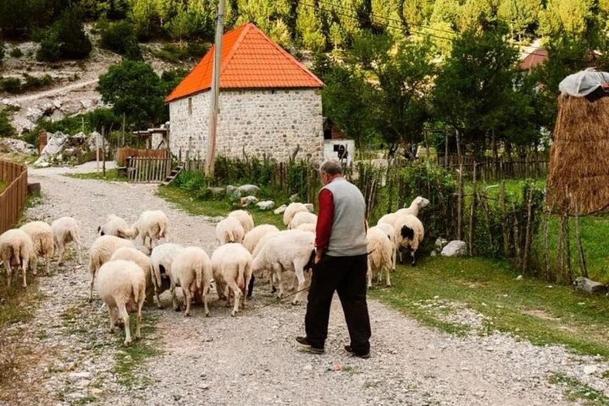 Φωτογραφία αξιοθέατου 4