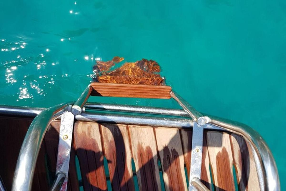 ένα κοντινό πλάνο του μπροστινού μέρους ενός σκάφους στο νερό