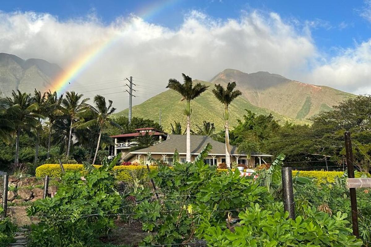 un arcobaleno sopra una casa con le montagne sullo sfondo