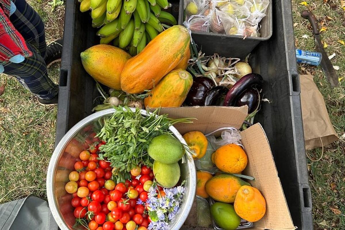 una scatola piena di diversi tipi di frutta e verdura