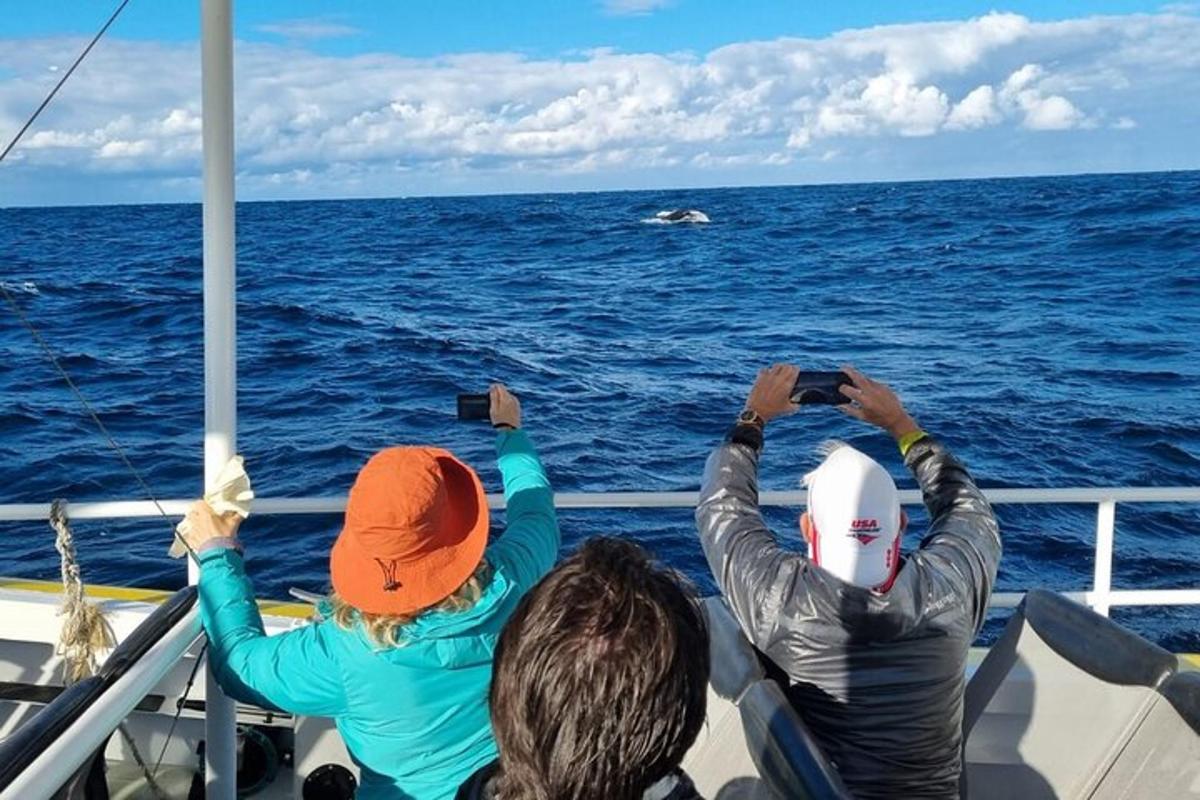 trei oameni pe o barcă privind oceanul