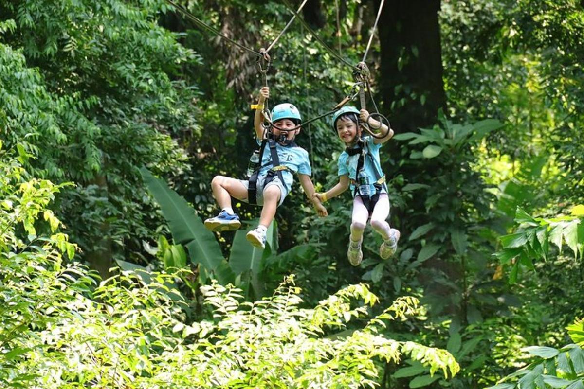 dua kanak-kanak menunggang zip di dalam hutan