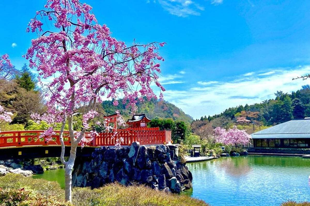 ภาพถ่ายสิ่งที่น่าสนใจภาพที่ 4