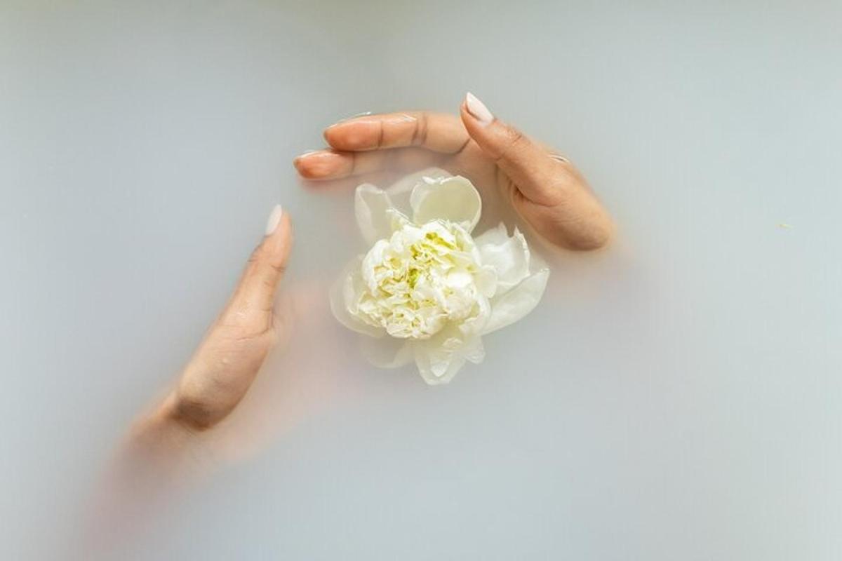 un paio di mani che tengono un fiore bianco