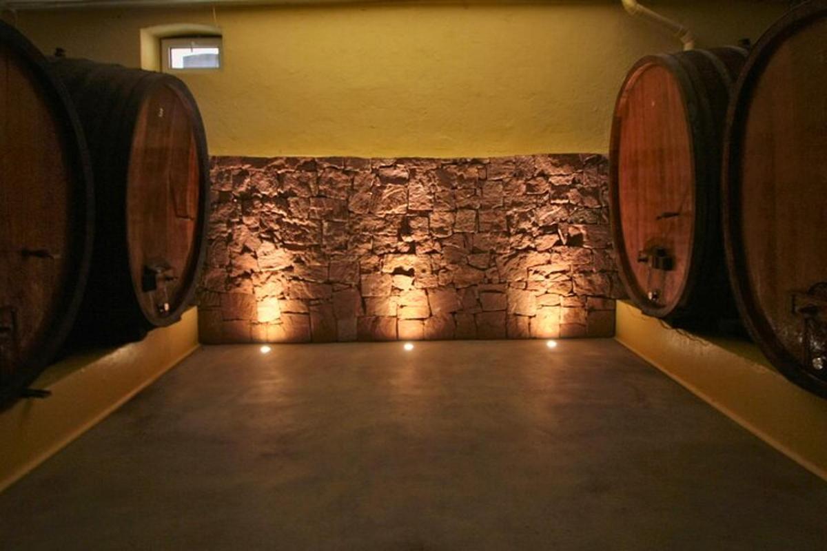 uma sala com dois barris de madeira em uma adega