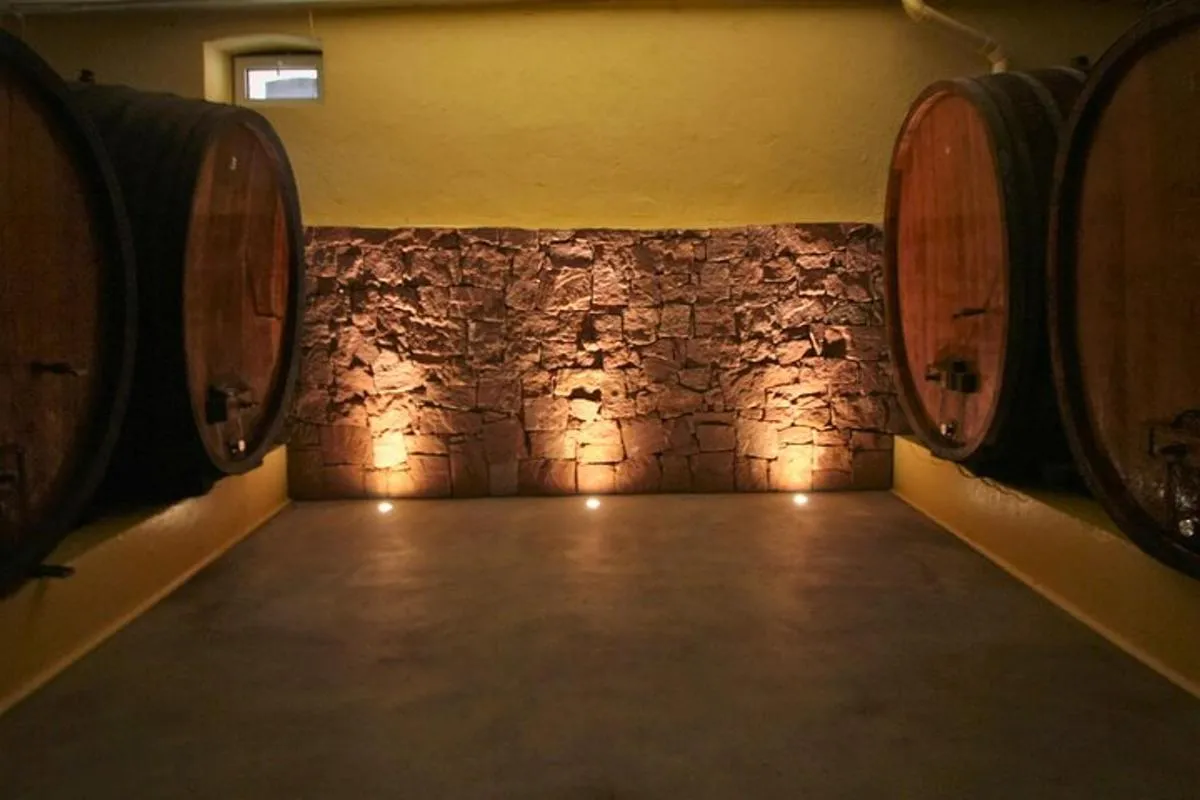 Visite et dégustation de vins et plateau fromages charcuteries – photo 2