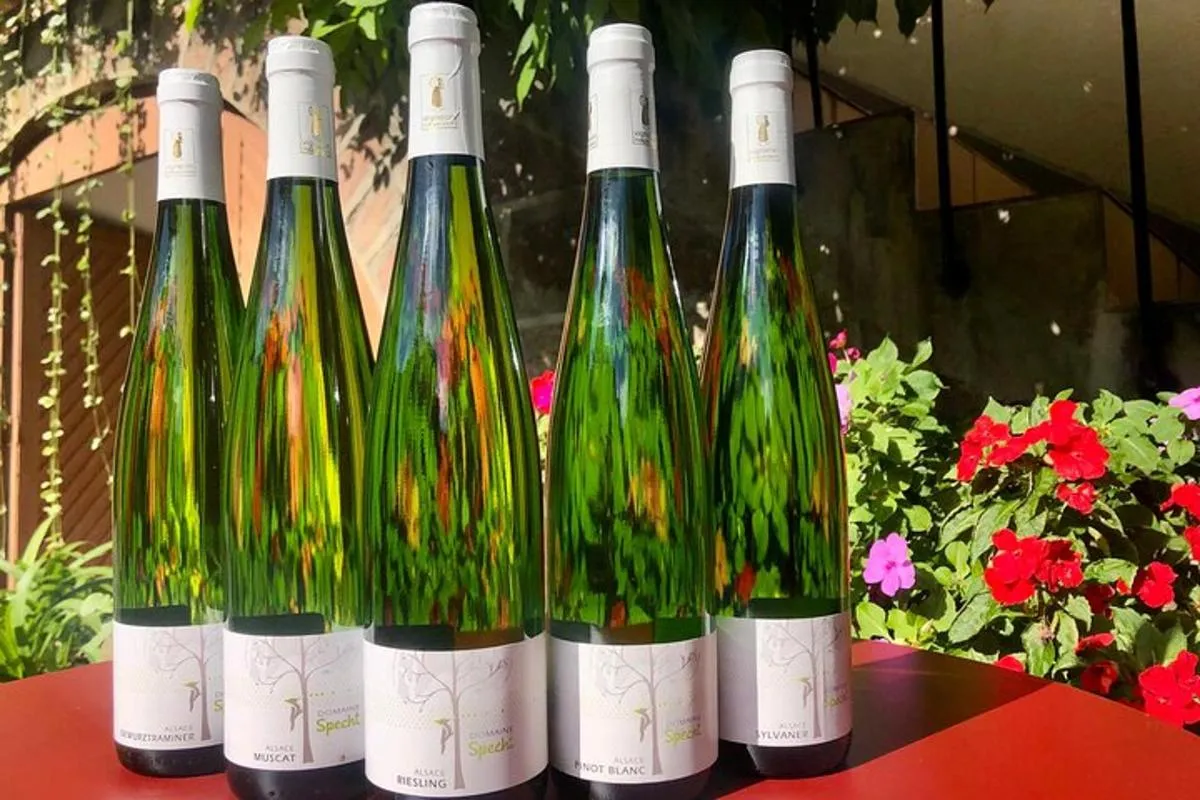 Visite et dégustation de vins et plateau fromages charcuteries – photo 3