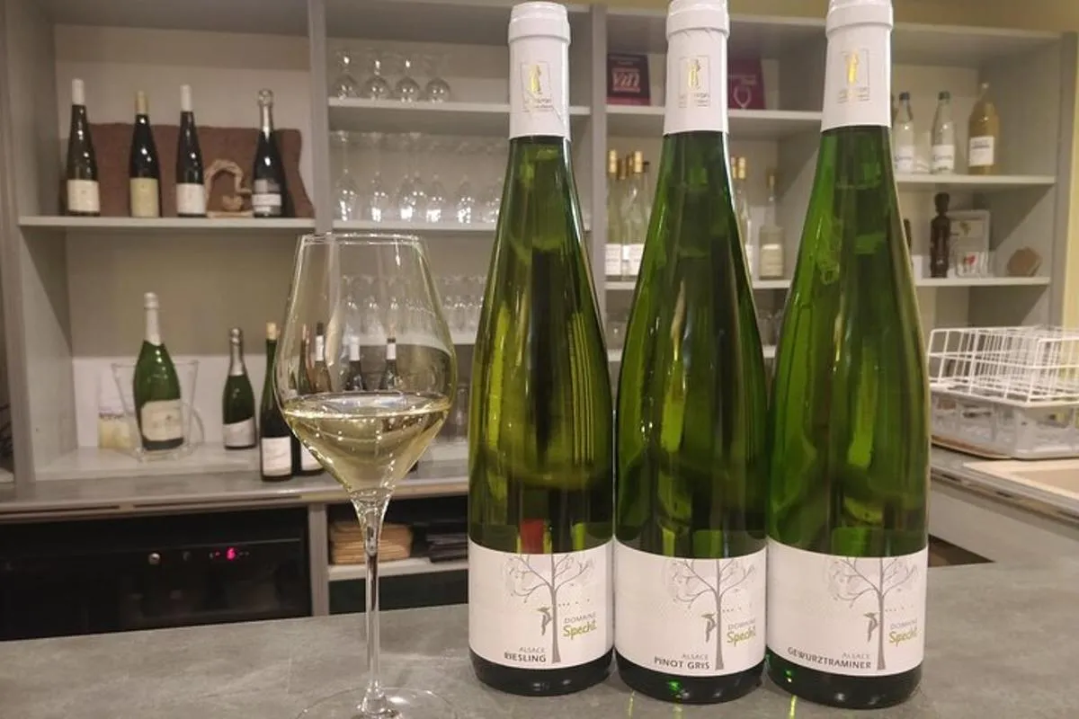 Visite et dégustation de vins et plateau fromages charcuteries – photo 5