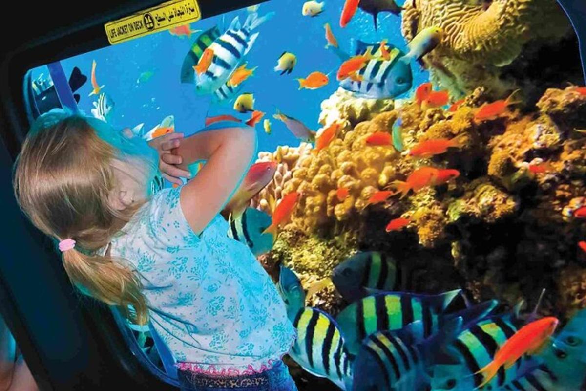 a little girl looking at fish in an aquarium