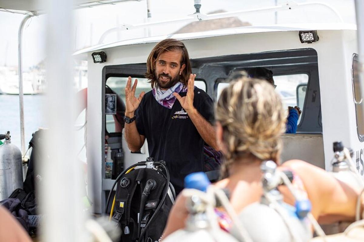 a man standing in the back of a van