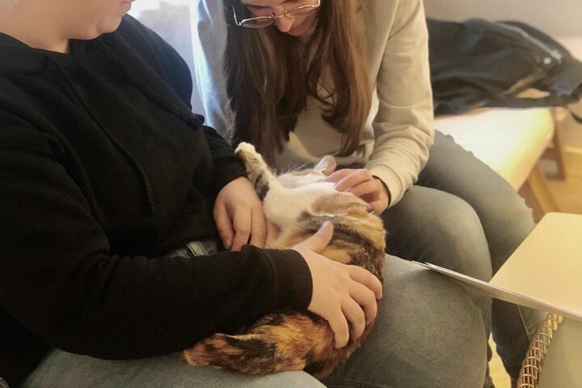 a couple of people holding a cat on a lap