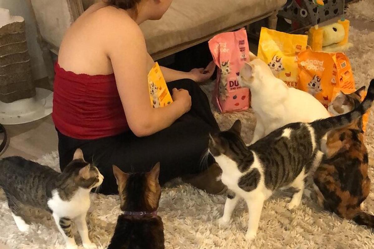 žena sedící na podlaze se skupinou koček