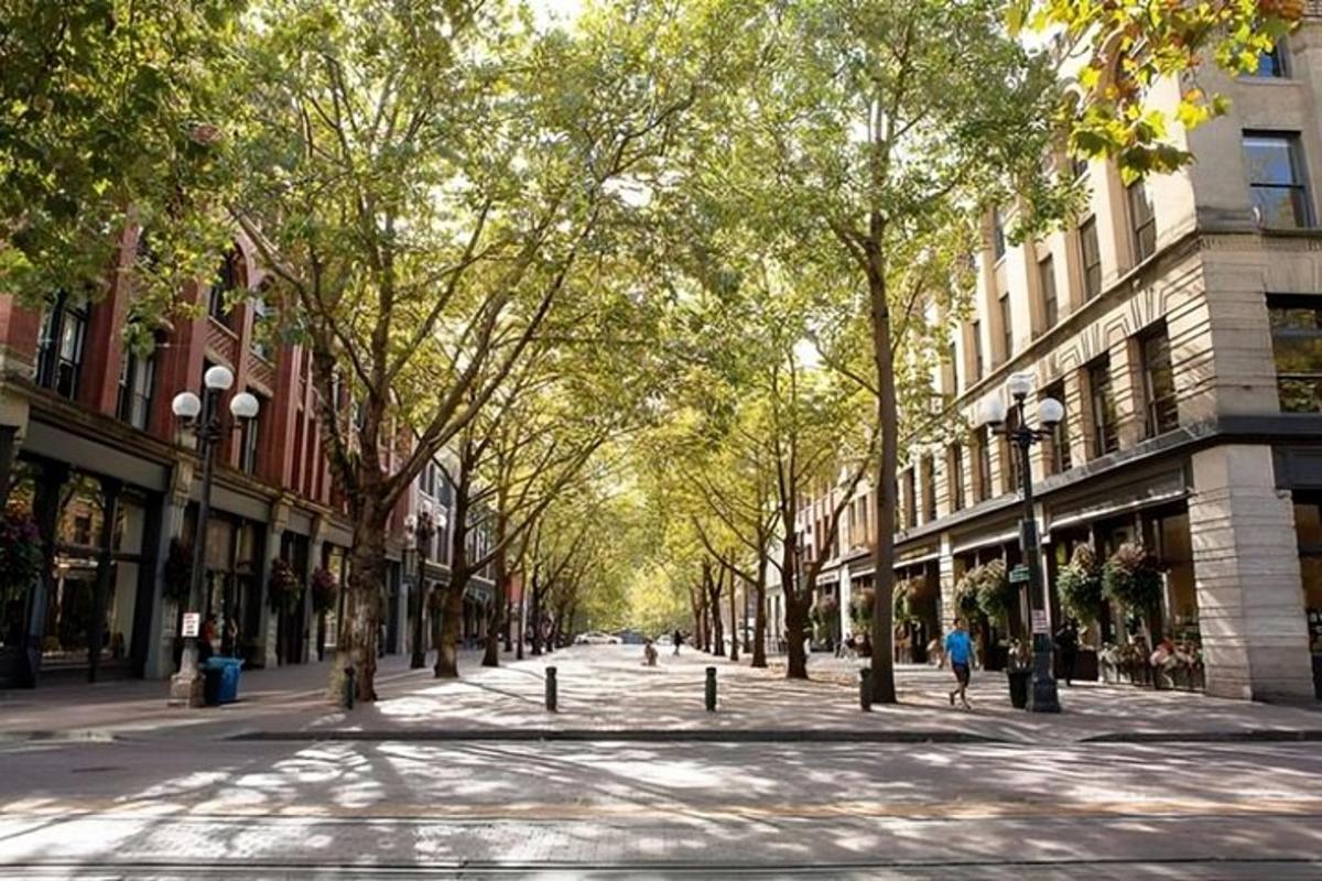 a street in a city with trees and buildings