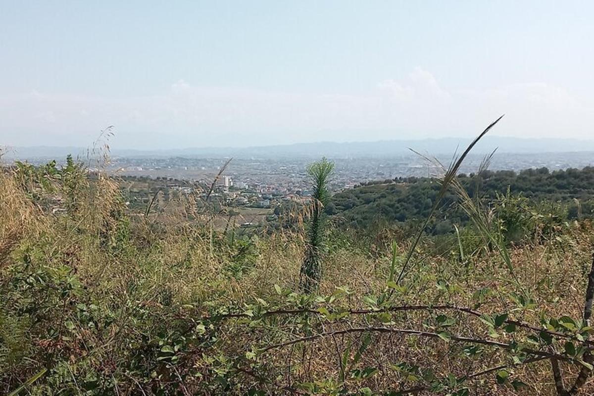 una vista de una ciudad desde la cima de una colina