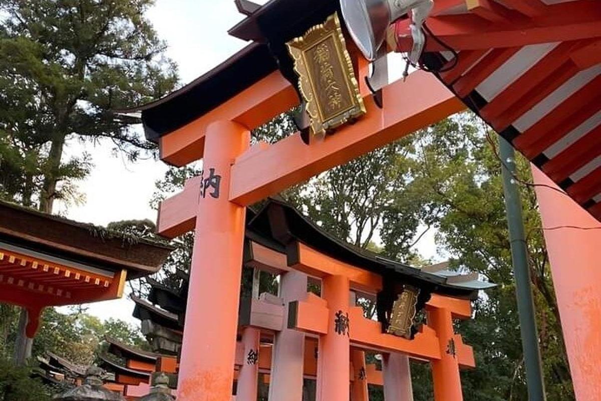 an orange and black structure with trees in the background