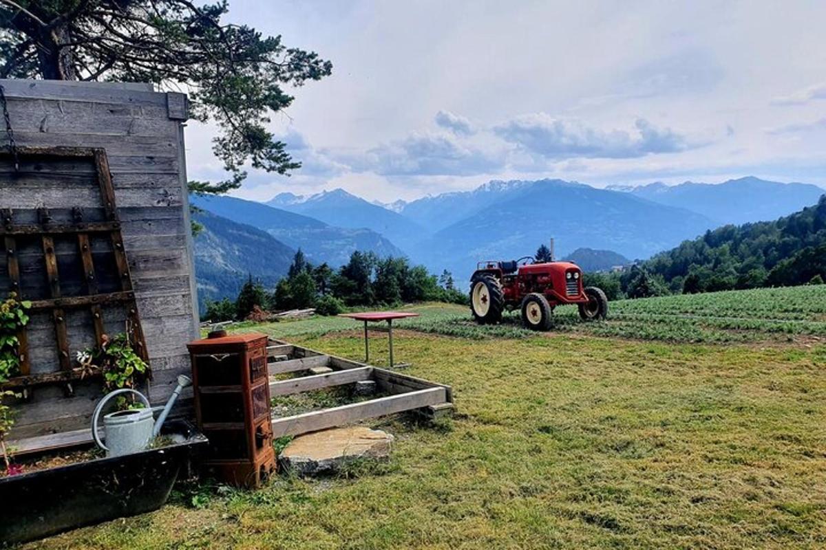 Fotografia 7 a atracției