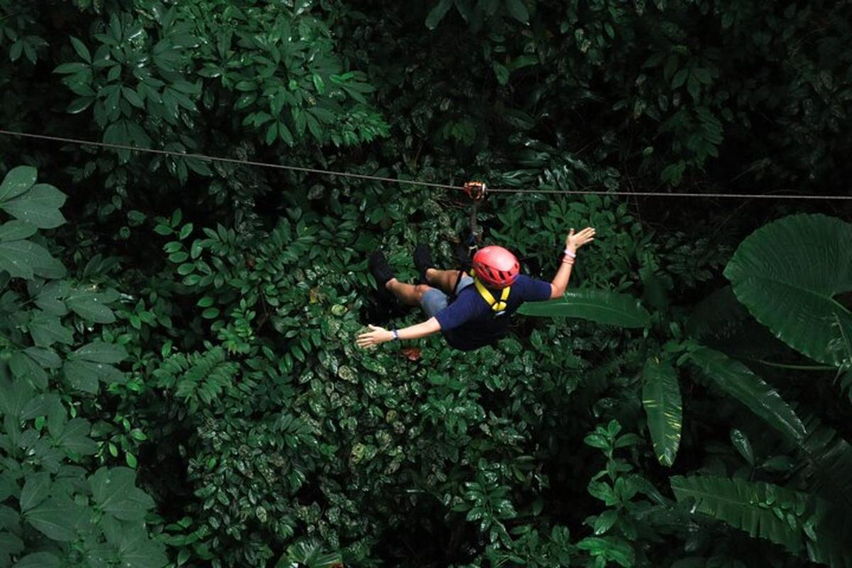 en mann som henger på en zipline i jungelen