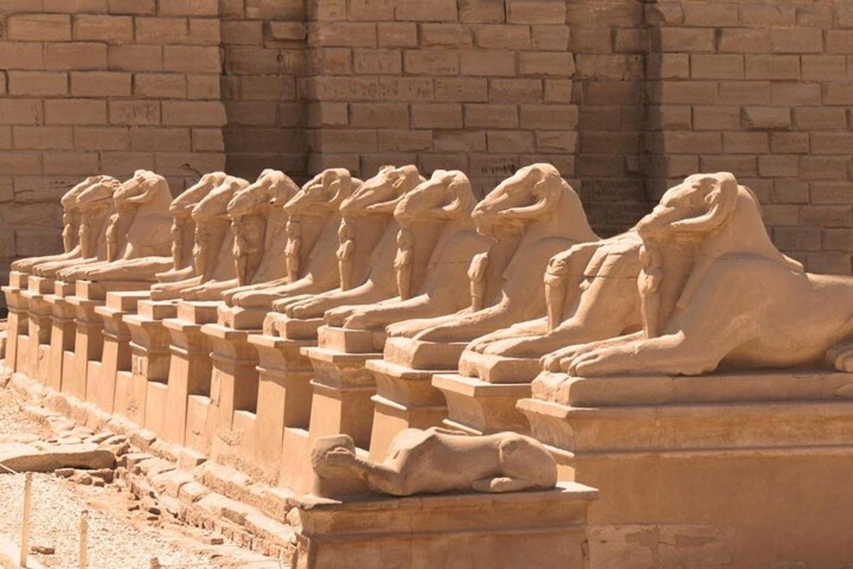 una fila de estatuas de leones en un edificio