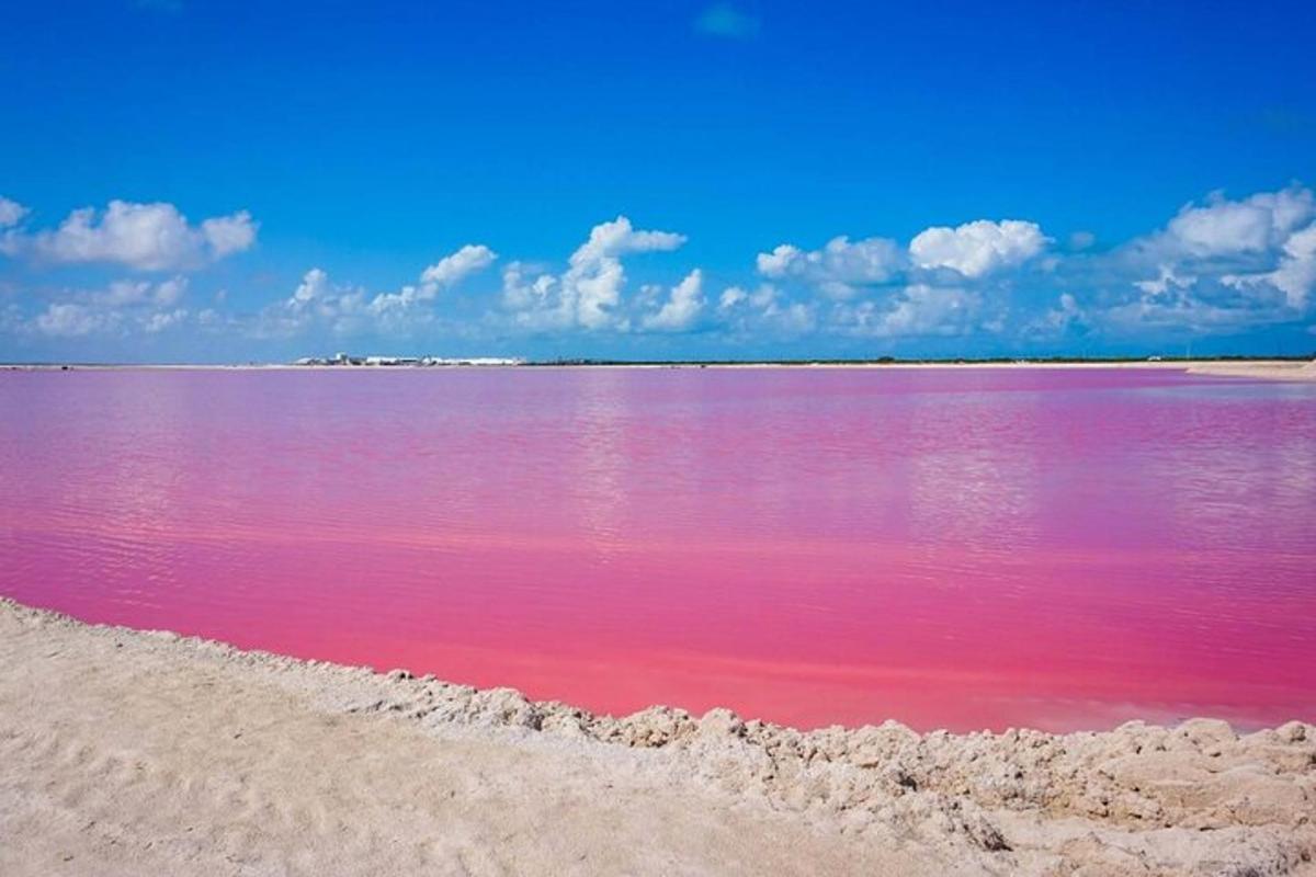 a large body of pink water on a beach