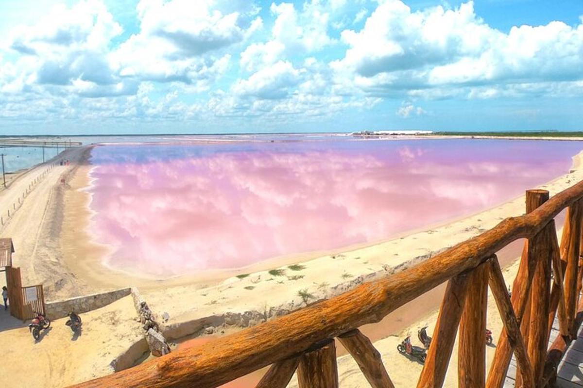 a pink pool of water on the beach
