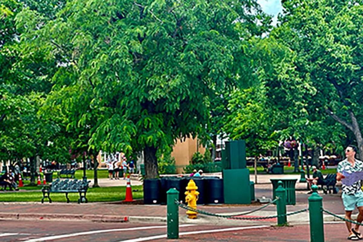 a man walking past a yellow fire hydrant in a park