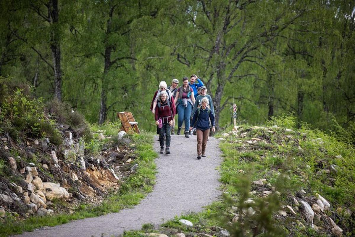 Lankytinos vietos ar pramogos nuotrauka numeris 2