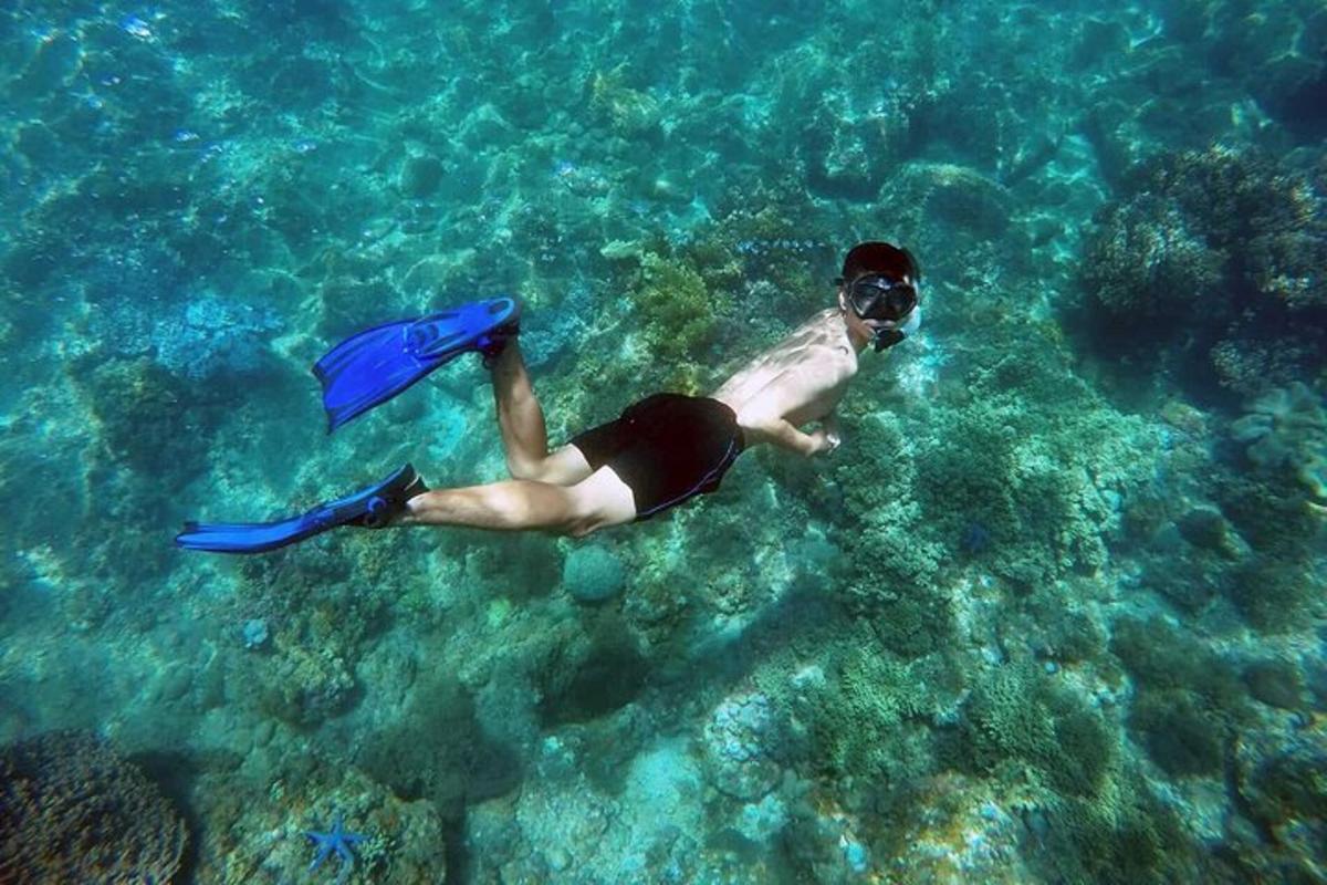 seorang pria sedang berenang di air laut