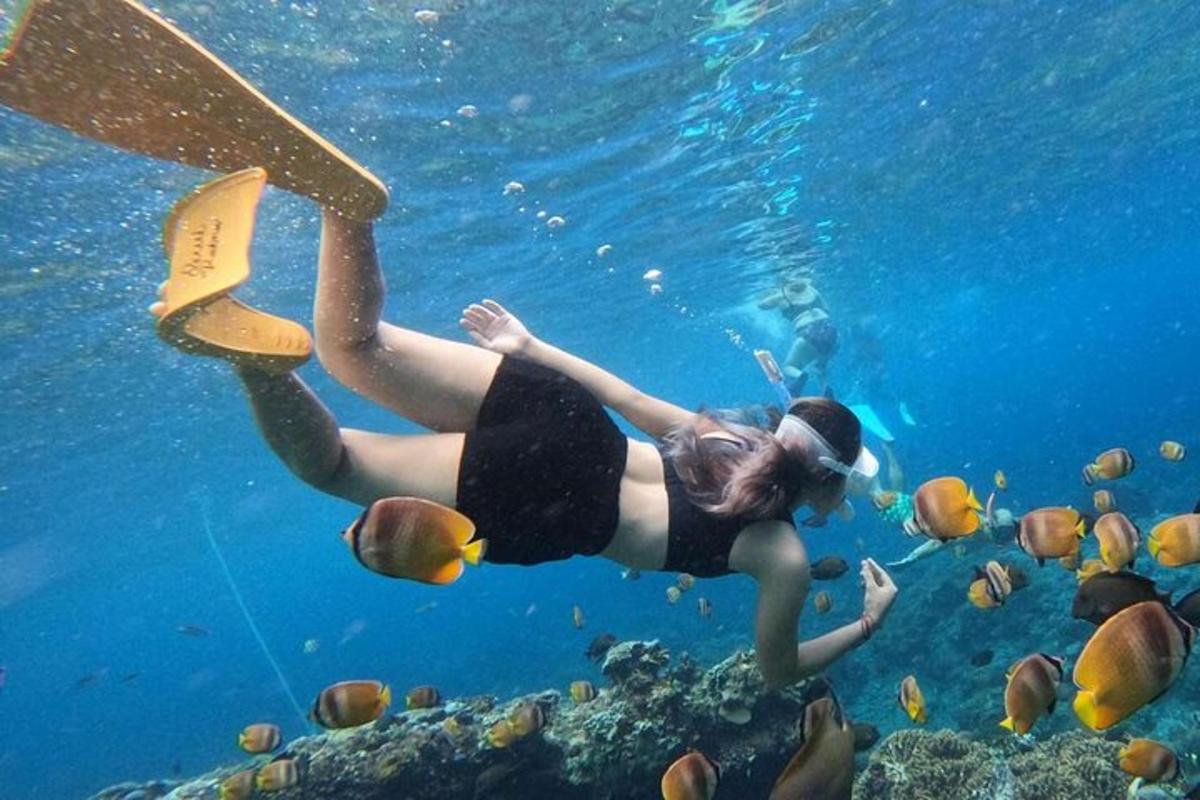 uma mulher está nadando na água com peixes