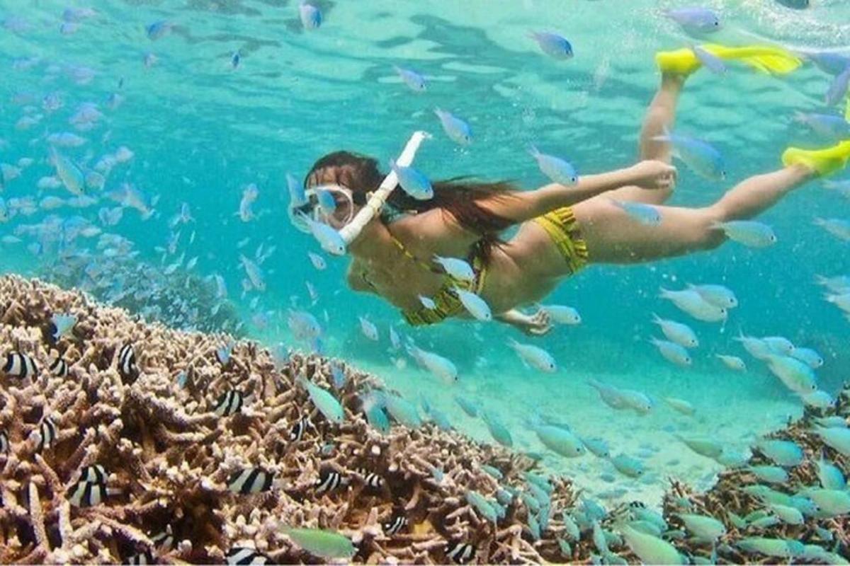 žena plave ve vodě s rybami