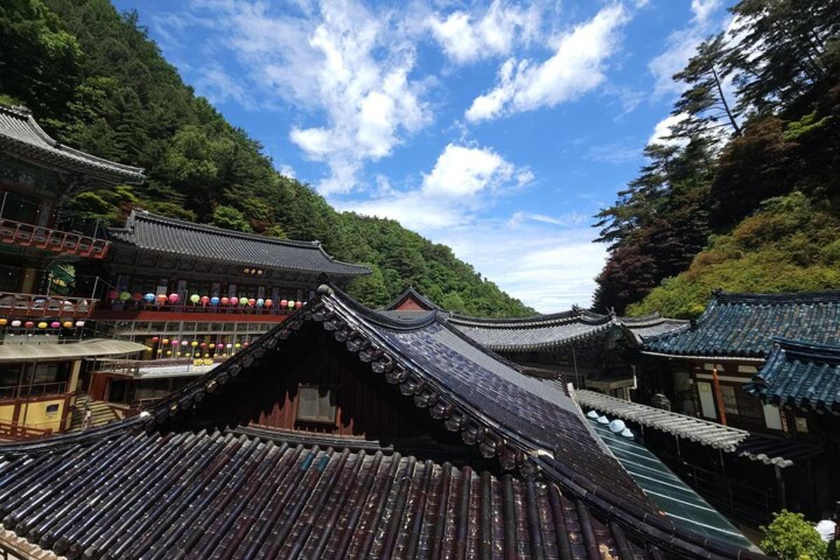 투어 액티비티 사진 4번